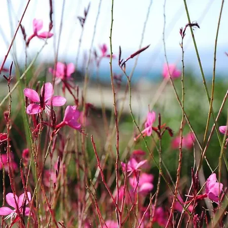 Apartment Glyfada Veranda With Sea View Kastrákion