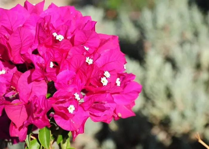 Glyfada Veranda With Sea View Apartman