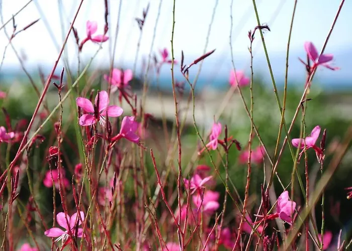 Apartmán Glyfada Veranda With Sea View Kastrákion